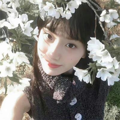 盲盒之遗产疑局